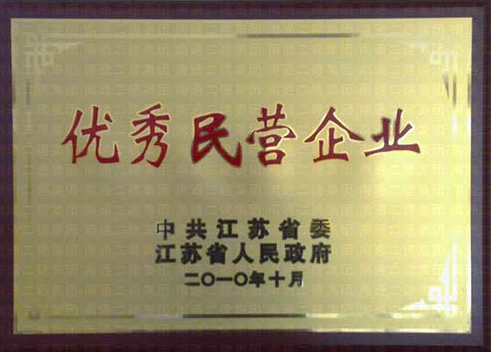 2010年優(yōu)秀民營(yíng)企業(yè)